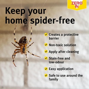 Spider Repellent Spray Ready To Use Insect Deterrent Fresh Mint 500ml