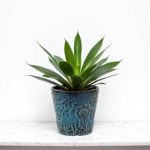  shot 9716082