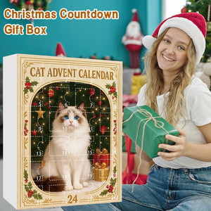 Christmas Cat Advent Calendar