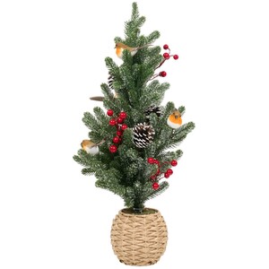 Robin Berry Potted Tree