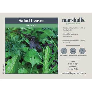 Marshalls Garden Salad Seed Mix - Mixed Baby Leaves and Herbs