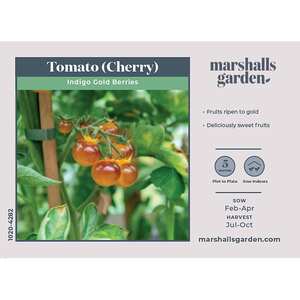 Marshalls Garden Gold Berries Tomato Seeds - Golden Cherry Cordon Variety, 8 Seeds