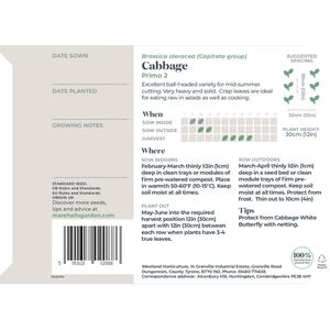 Marshalls Garden Primo 2 Cabbage Seeds - Ball-Head Summer Cabbage, 500 seeds