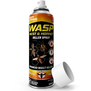 Wasp Nest Killer Spray
