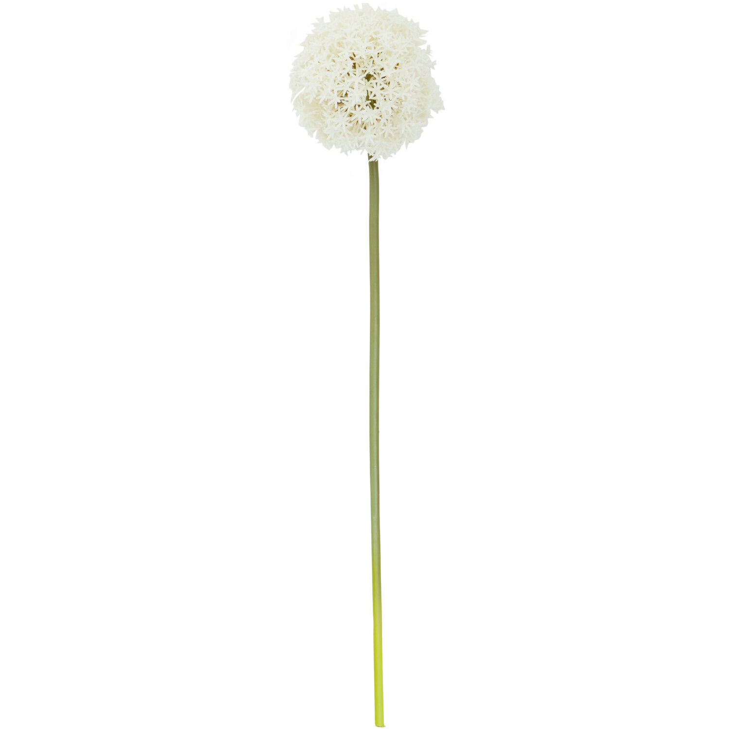 Fiori Ivory Allium Flower Stem - White