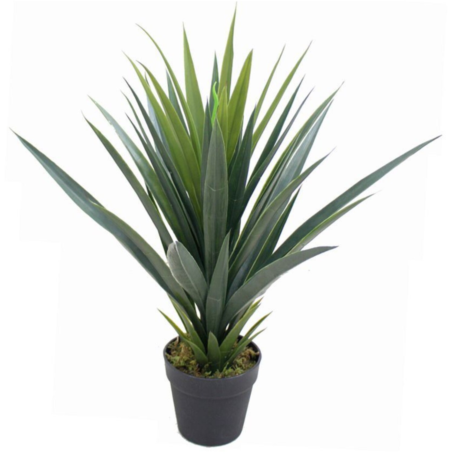 60cm Spiky Tropical Artificial Plant - Green