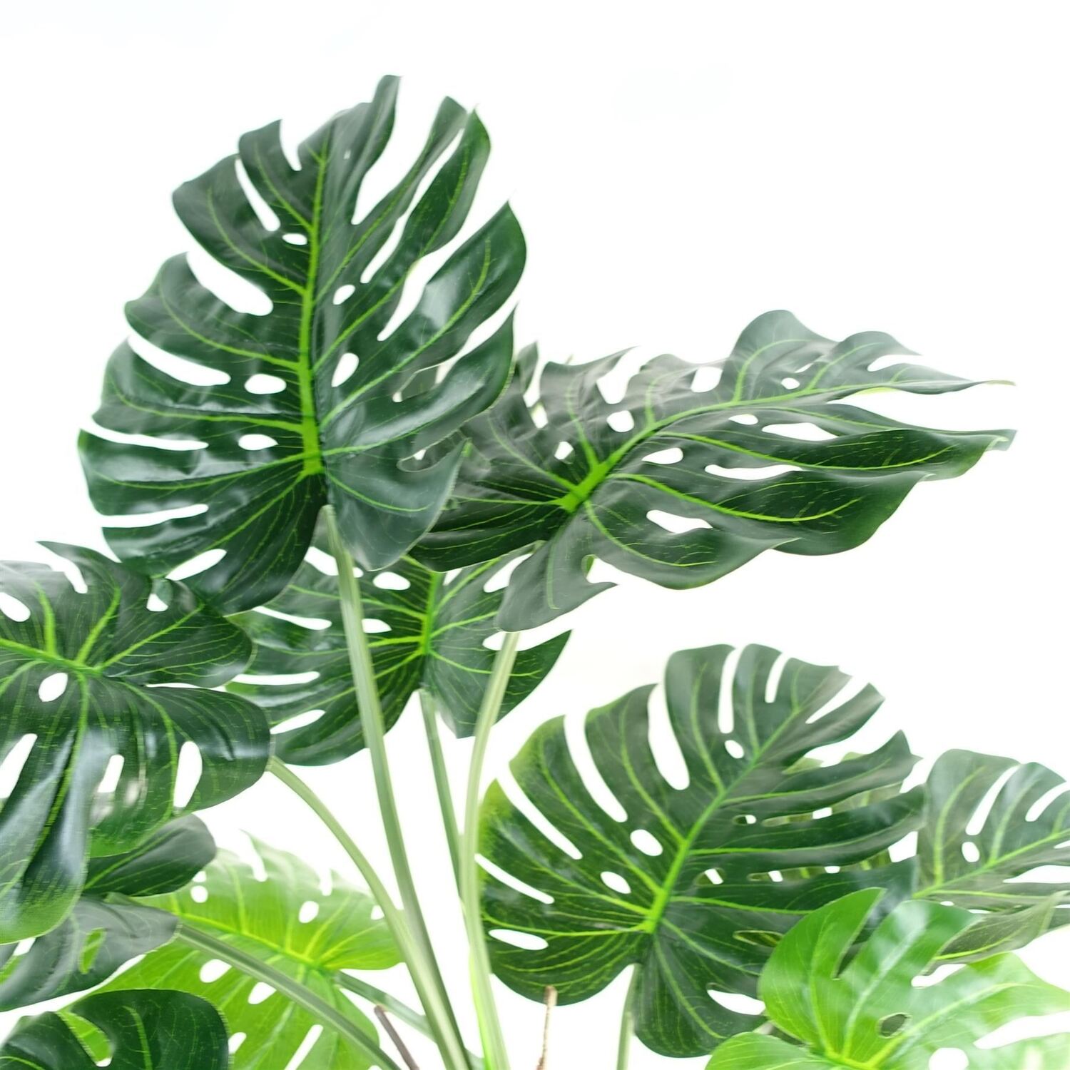 Botanik 150Cm Artificial Luxury Monstera Plant Black Pot Gold Planter Premium - Green Cheese Plant