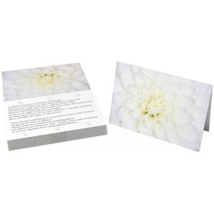 White Chrysanthemum Pink Gerbera Folded Card with Care Info 125 Pack