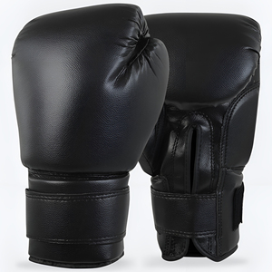 12oz Boxing Gloves