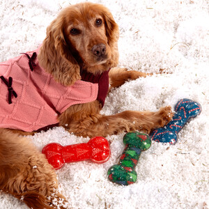 Squeaky Bone Dog Toy