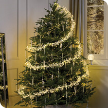 Christmas Tree Lights