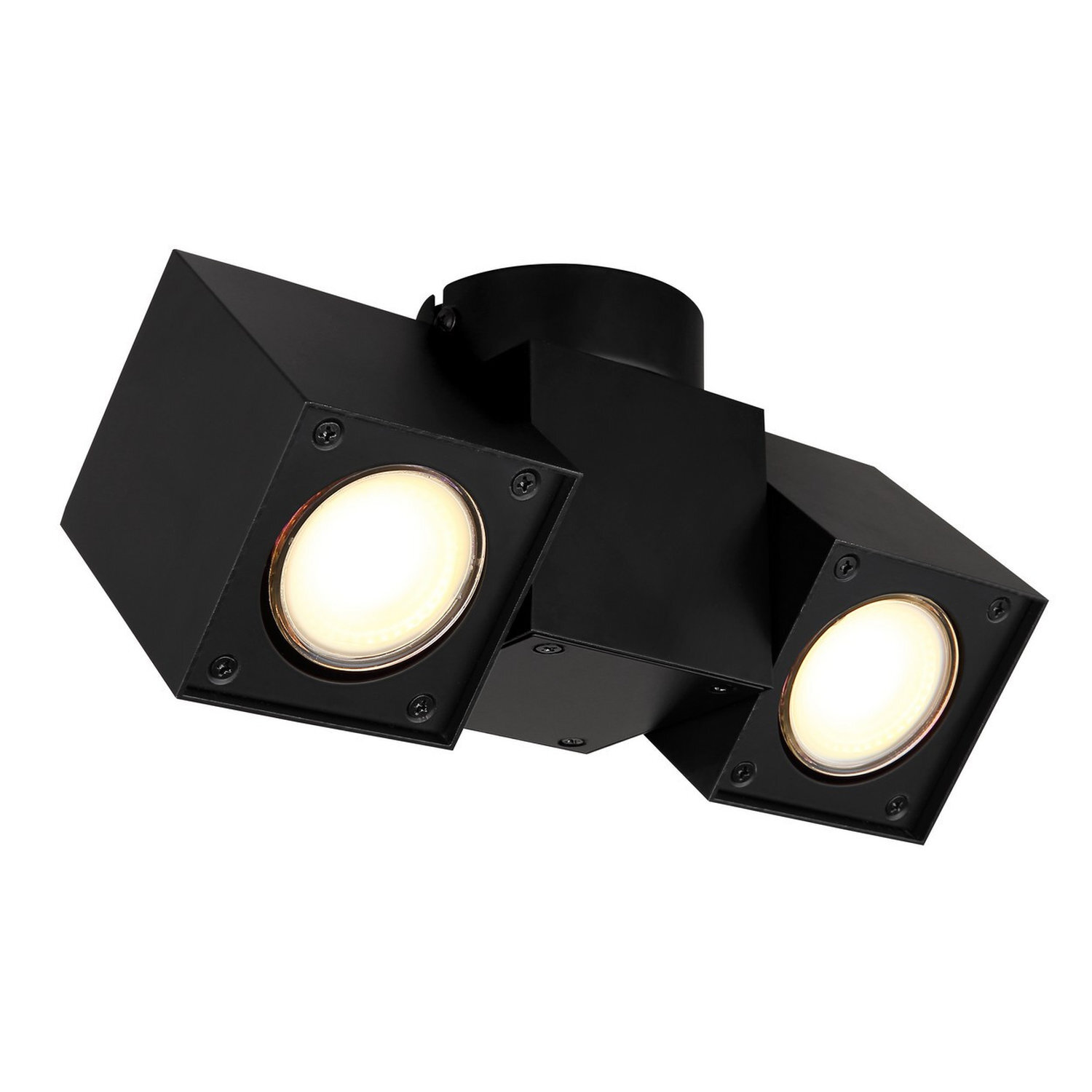 Globo Lighting Erin Spotlight Black