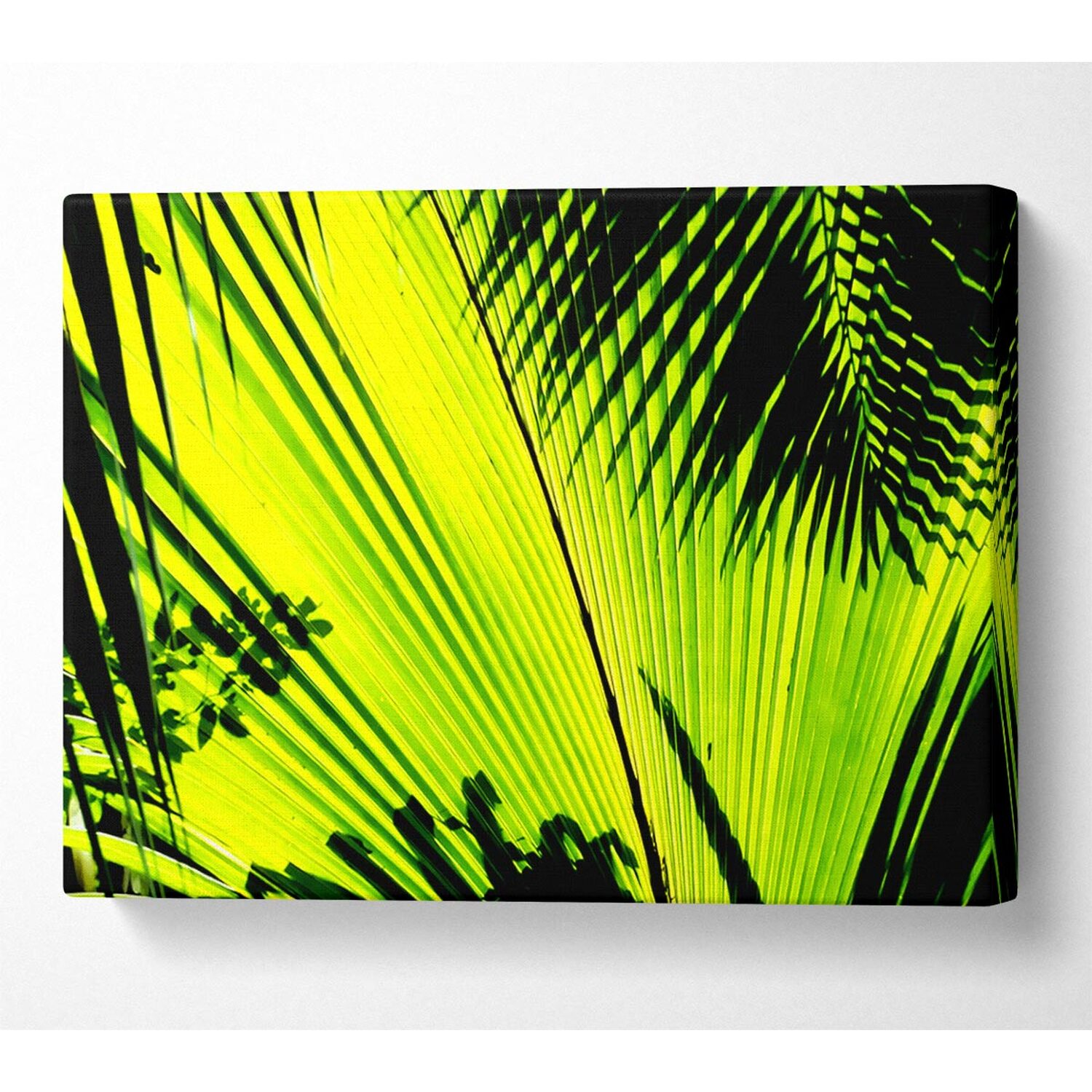 Wallart-Direct - Lime Palm Tree Canvas Print Wall Art - Yellow / 101.6cm thumbnail