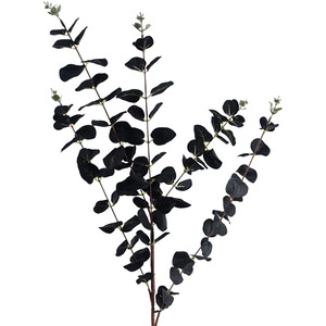 Black Eucalyptus Foliage Stem