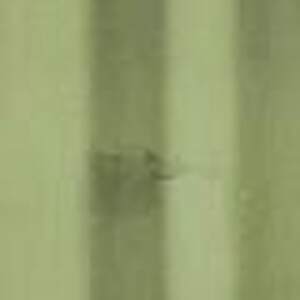  shot 9302446