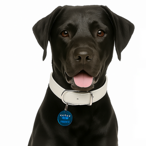 Prince Dog Collar Charm