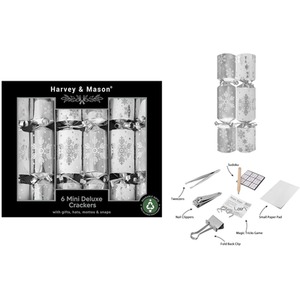 6 Mini Christmas Crackers Silver White Snowflake 8.5 Inch