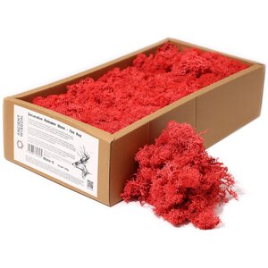 Fire Red Reindeer Moss Preserved Decorative Moss