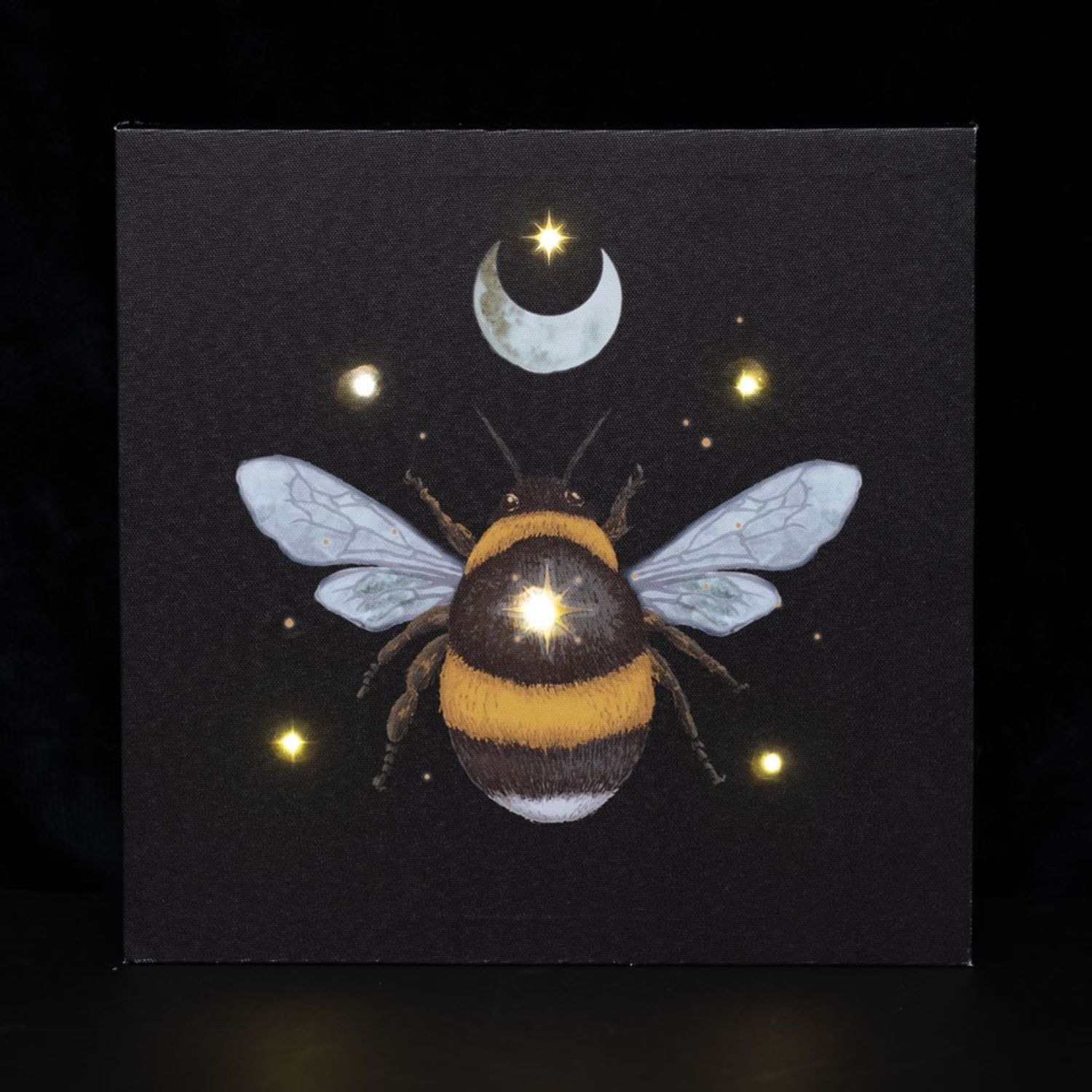 Something Different Forest Bee Light Up Canvas - Black/Yellow - One Size