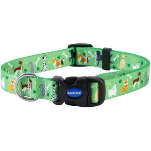 Soho Dog Collar