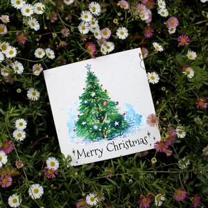 Christmas Tree - Plantable Wildflower Seed Christmas Cards - 10 Pack