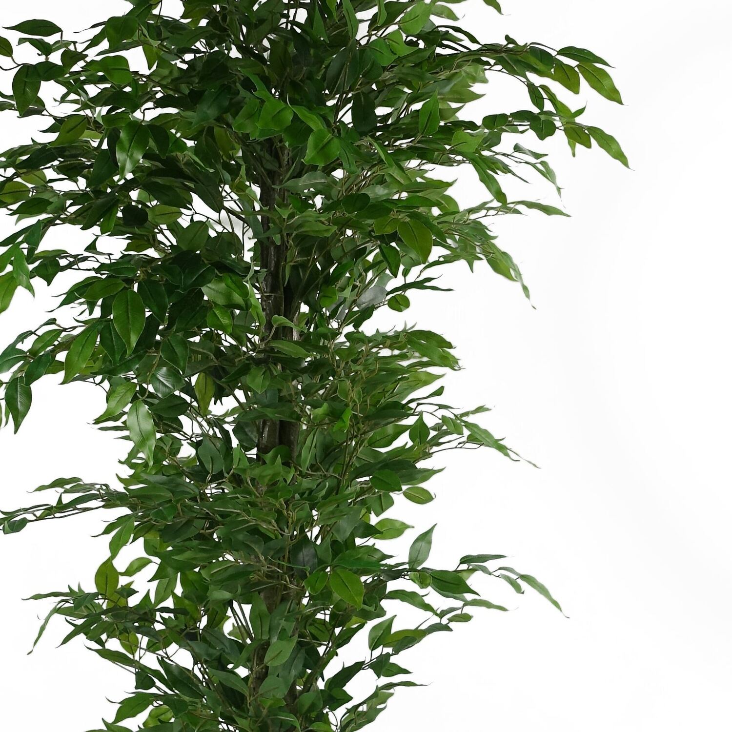 B&Q - 180Cm Artificial Ficus Tree Green Realistic Premium - Image 2