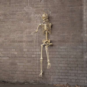 5ft (152cm) Posable Full Body Halloween Skeleton Decoration with Movable Joints