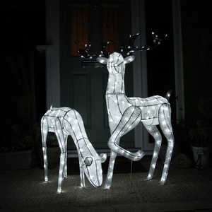Large Light Up Stag and Doe Reindeer Set