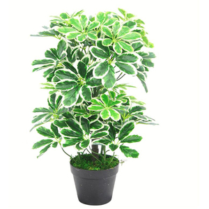 Variegated Artificial Schefflera Arboricola Bush