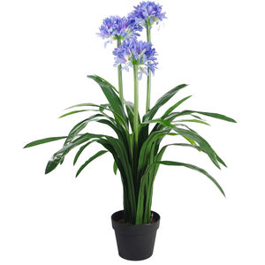 Premium Artificial Agapanthus Pot Blue
