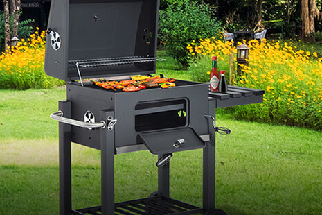 gas BBQ barbecue grill