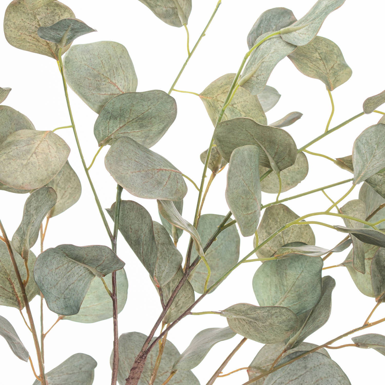 Eucalyptus Tree In Metallic Pot Modern Decor - Green