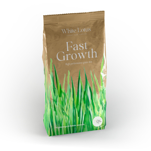 Fast Growing Grass Seed (10g)