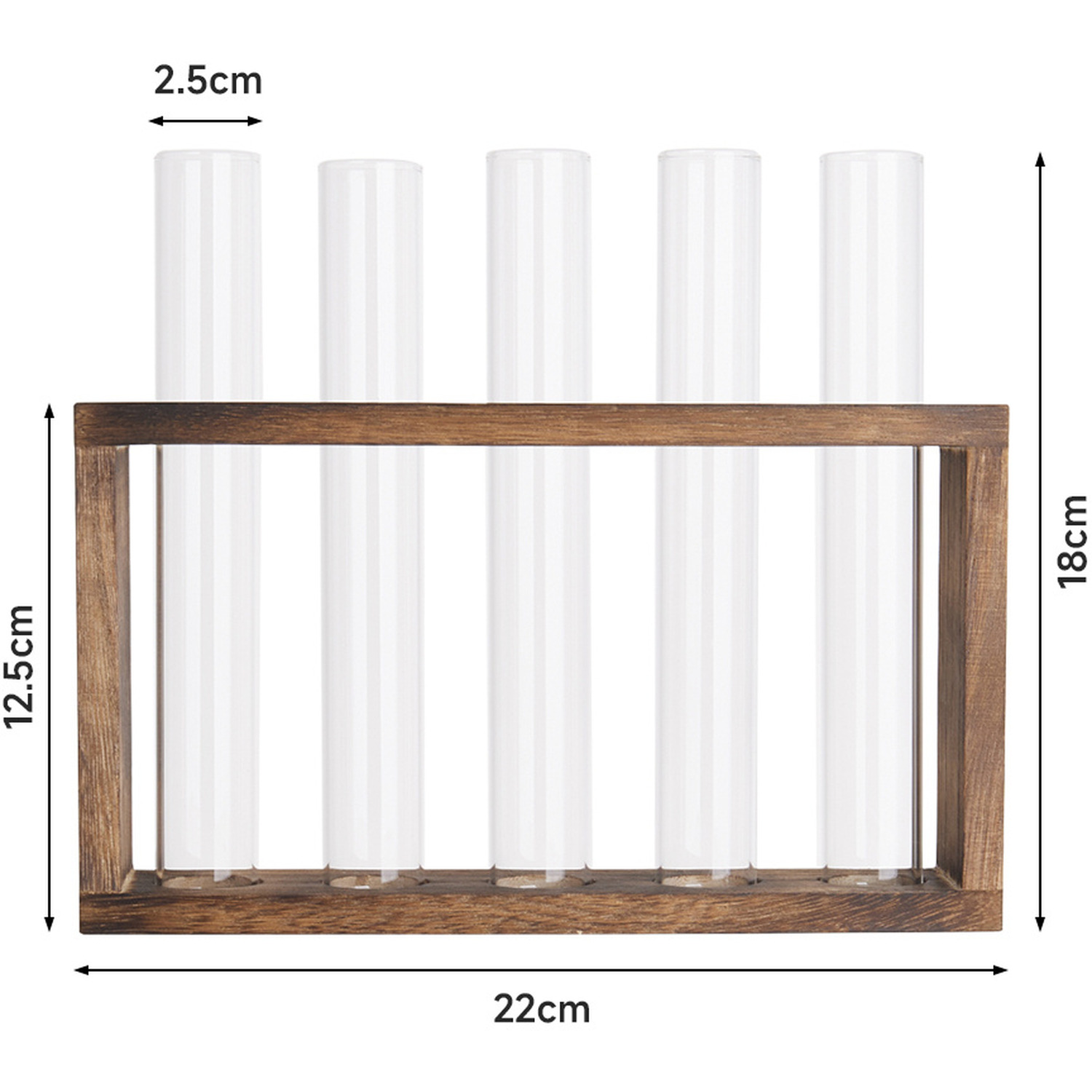 5pcs Glass Terrarium Planters - White