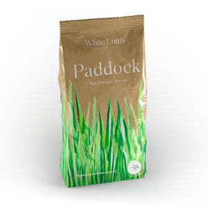 Paddock Grass Seed Resilient, Versatile, and High-Yielding (10g)