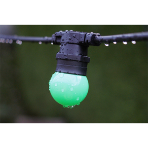 shot 6885594