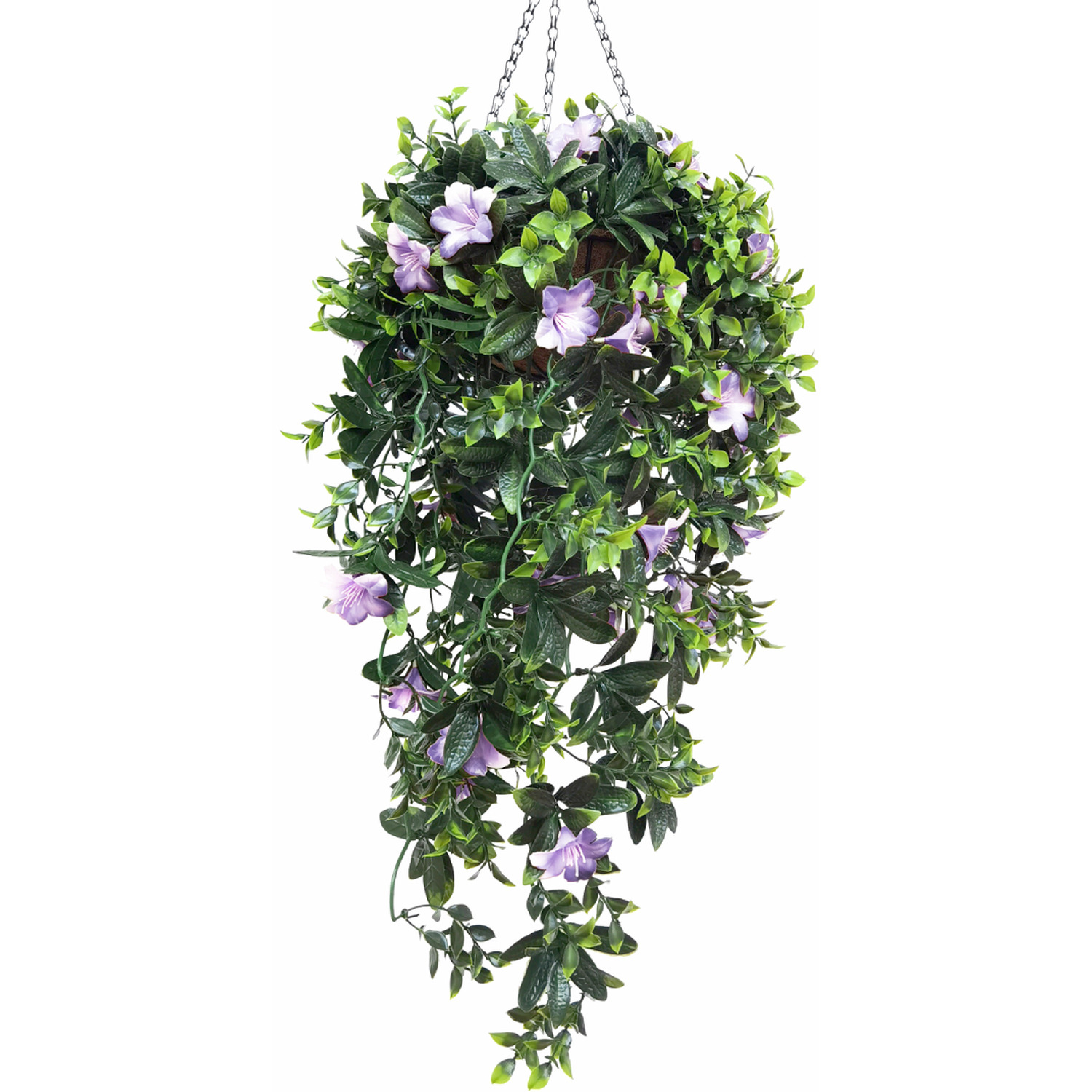 Azalea Hanging Basket with Cascading Flowers - Purple