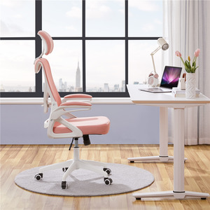Pink / 11.4kg Yaheetech Ergonomic High Back Office Chair shot 10859364