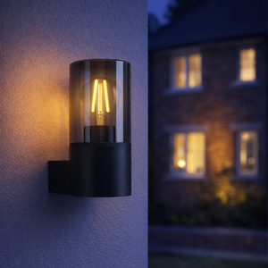 EGLO Cropani Plastic And Glass, Outdoor Wall Down-Light, Black