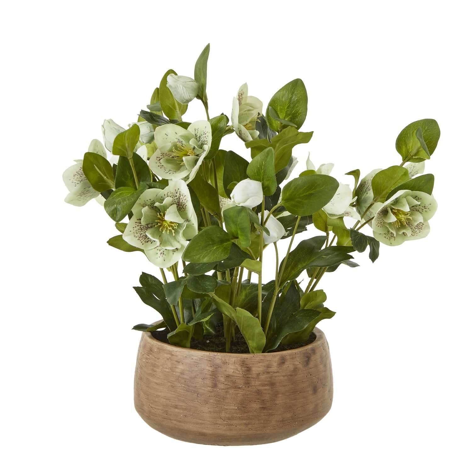 Hellebore Artificial Plant in Rustic Taupe Pot - Green