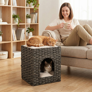 PawHut Wicker Cat House, 2-Tier Rattan Cat Bed with Washable Cushions