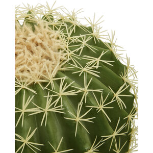 Fiori Round Cactus in Pot