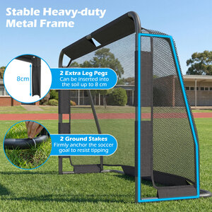 Backyard Soccer Goal Set