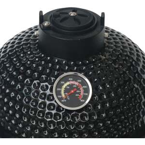 Kamado BBQ Grill