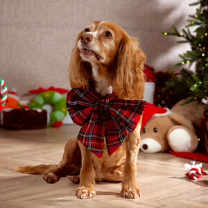 Large Festive Tartan Pet Bowtie