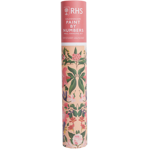 RHS Paint By Numbers Hanging Kit With 24 Paints & 3 Brushes, Multicoloured, 400 x 500 mm C