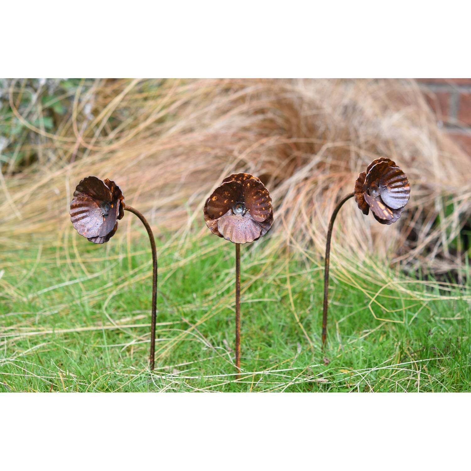 Savageworksuk Metal Garden Poppy Flower - Rusty