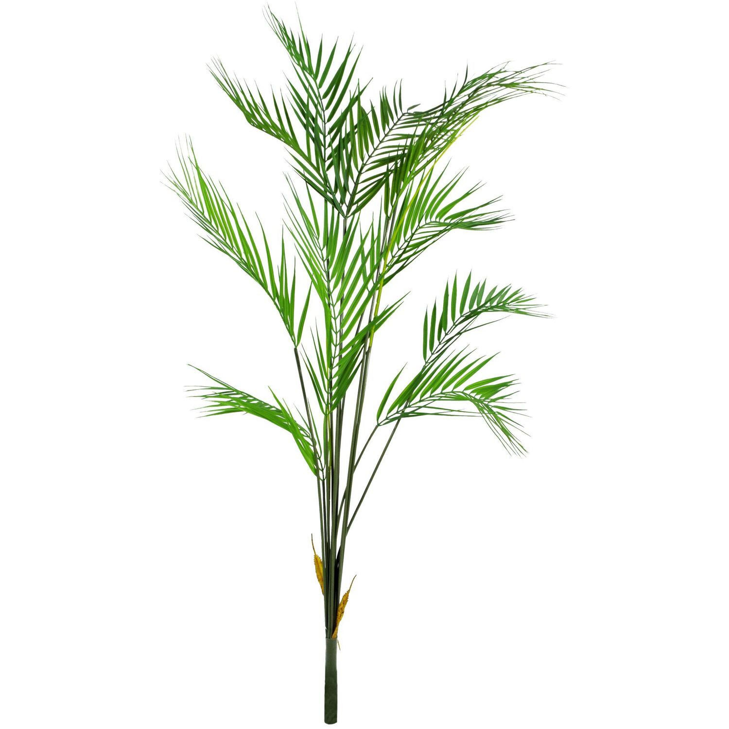 Unpotted Palm Tree - 11 Leaves - Green