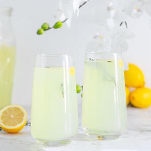 Tallo Highball Glasses - 480ml