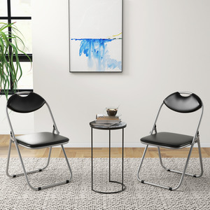 2 Pack Folding Chair